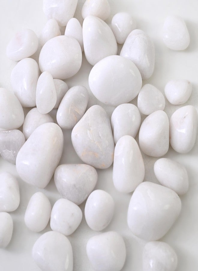 VANNEF® Premium Black&White Polish Stone Ornamental River Rocks Tumbled Stones for Landscaping Home Decor Crafts Garder Aquirum/Fish Tank (400 gm Black&White) - Image 4